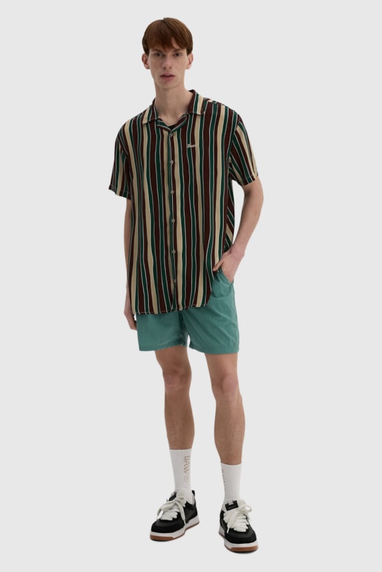 image_8c1c6c9e-d631-48e5-96f9-5e6c6774b2c0