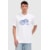 CAMISETA BR REGULAR BRICK WALL BRANCO P