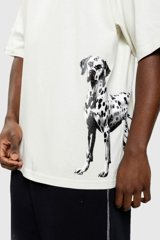 image_66fd6905-a699-4e5d-aa85-e487ba104e32