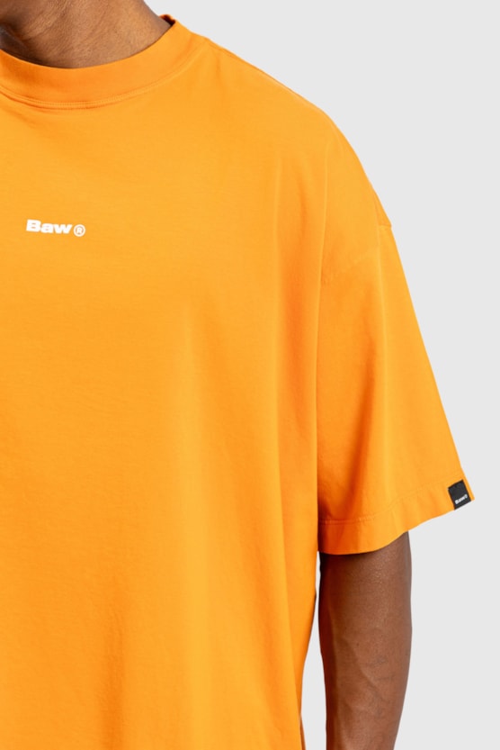 image_fa24c816-fbdc-4c11-b473-b153fd043671