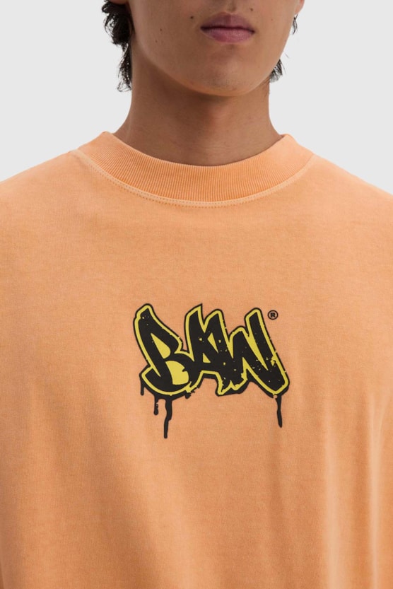 image_fc74faa8-aa3f-4682-b463-f57de262705a