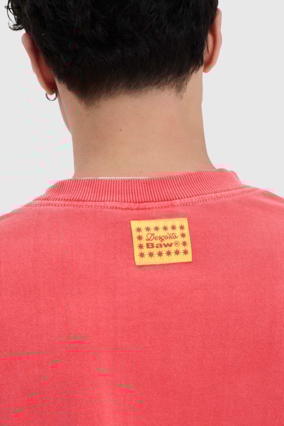 image_965d2089-033d-4fe9-aa2d-90478291ccb5