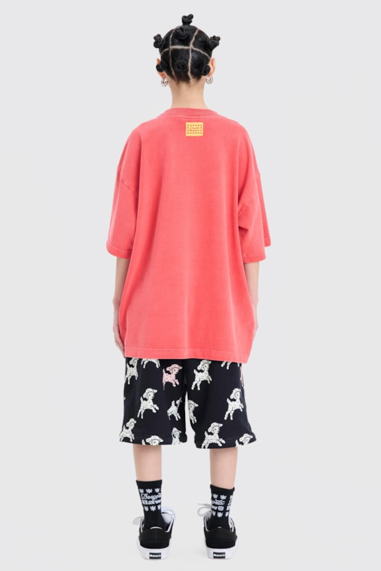 image_ebbd163d-86d4-40a4-8eda-7f7a0defc609