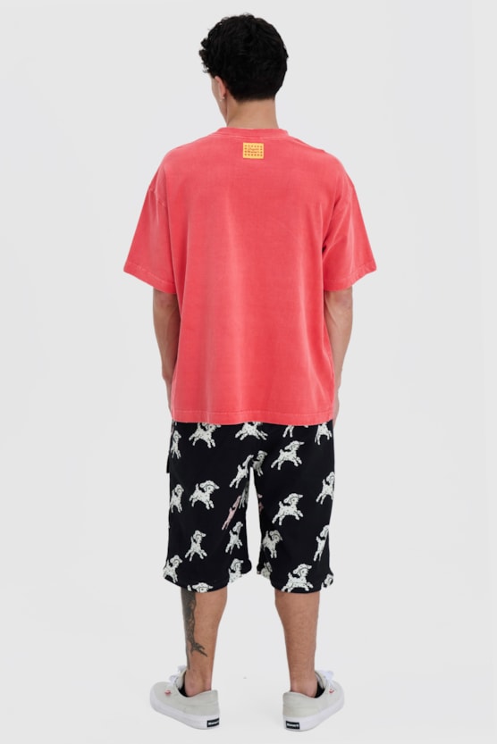 image_8dec79bb-c51a-4169-97c2-d7033f81e8bc