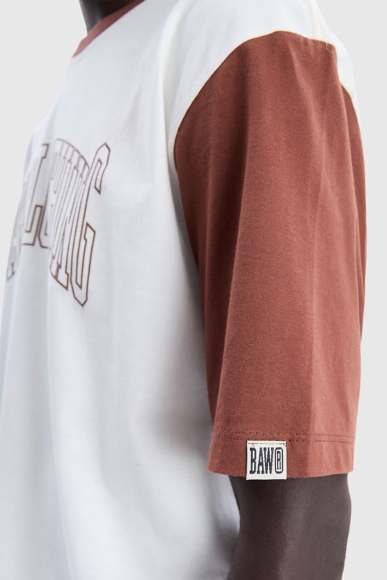 image_e4d25c66-c3d9-413c-80c0-6c7e4a8d5191