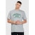 Camiseta Regular Baw Latino CINZA MESCLA GGG