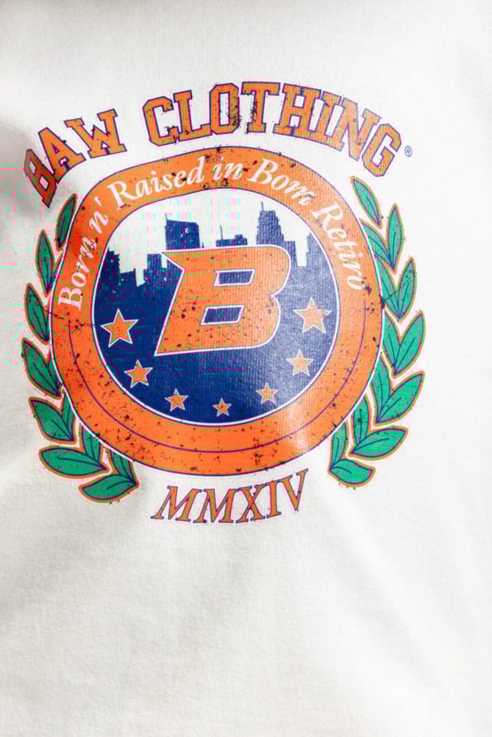 image_02cf7c2e-8393-404f-8444-df41b6e6d3e3