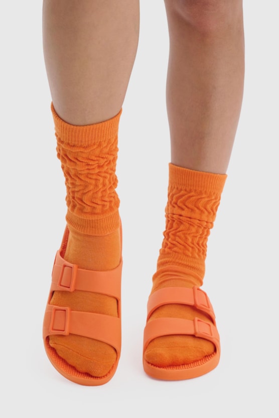 image_556c3a58-7634-4ee8-88eb-51ad08842157