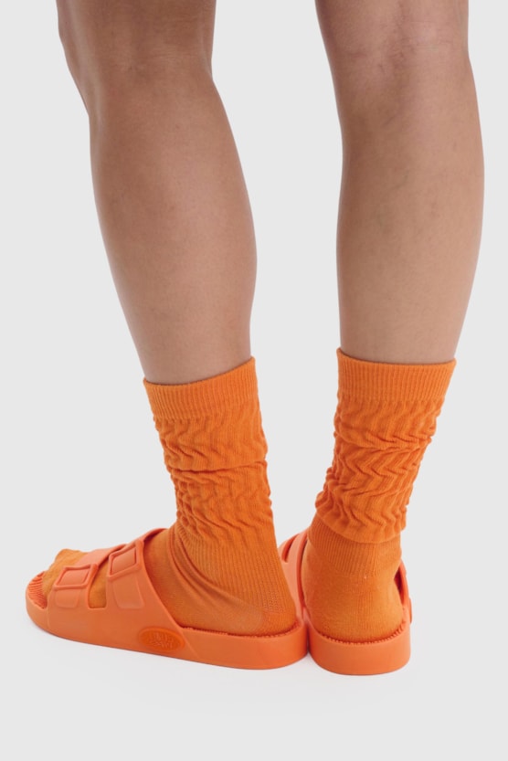 image_387c8bc3-3c18-4e2b-9a70-9092ccc388ee