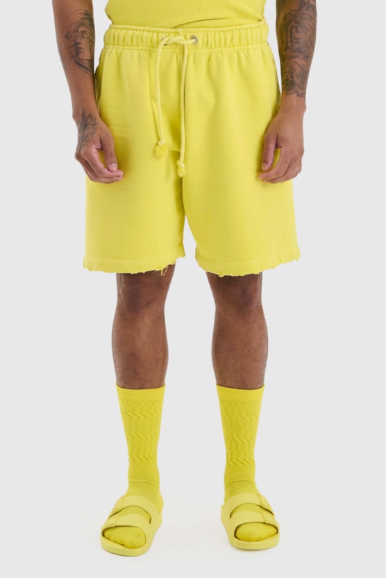 image_e51a7e8f-d4ee-41a3-afb7-a07b7a8a5cba