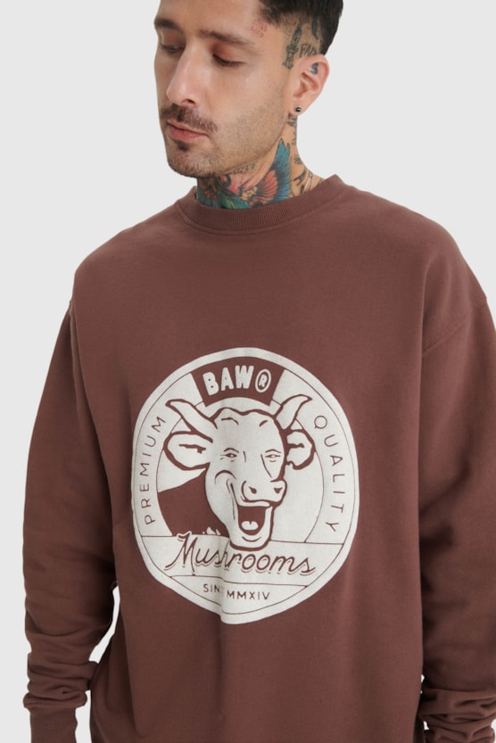 image_72d88377-1841-4971-a1d3-ab064232b4f9