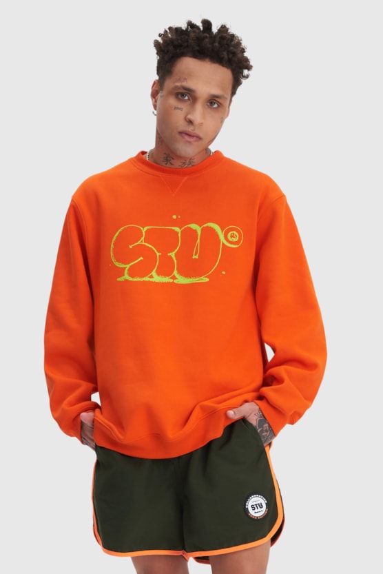 image_e260a0d3-0a02-4953-b8d1-9bd11f718482