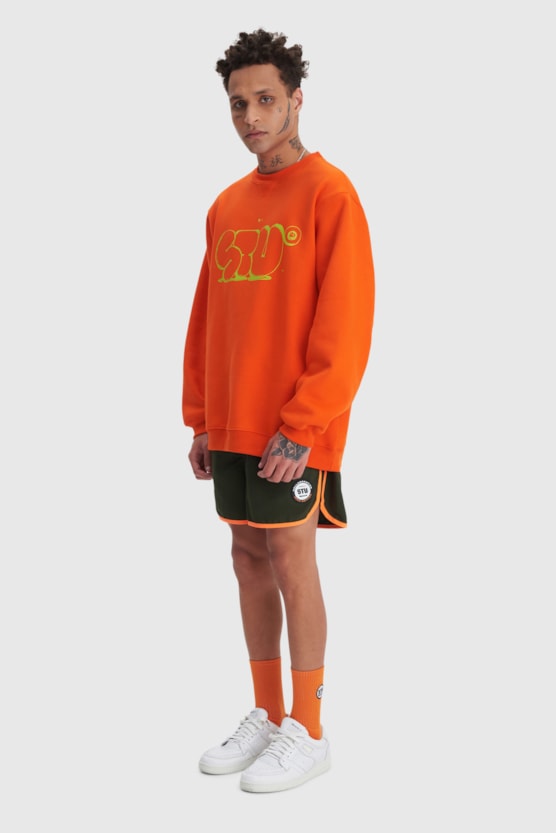 image_606f89e7-ba14-454d-9df1-a8b1b0cb9a7c